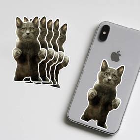 Cat Phone Photo Sticker