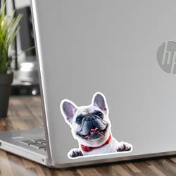 Laptop Dog Photo Sticker