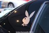 Frank's review of Playboy Bunny Sticker