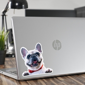 Die-Cut Dog Photo Laptop Sticker