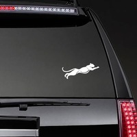 Panther Sticker on a Rear Car Window example