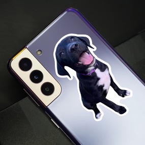 Die Cut Dog Photo Phone Sticker