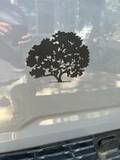 Alfonso's review of Large Oak Tree Sticker