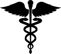 Caduceus Health Symbol Asclepius's Wand Icon Sticker