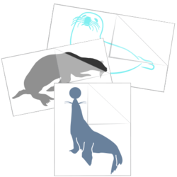 Seal & Sea Lion Stickers