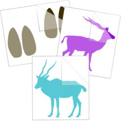 Antelope Stickers