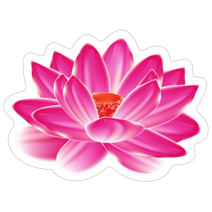 Amazing Pink Lotus Flower Sticker