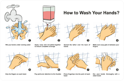 How To Wash Your Hands Sticker