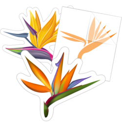 Bird of Paradise Flower Stickers