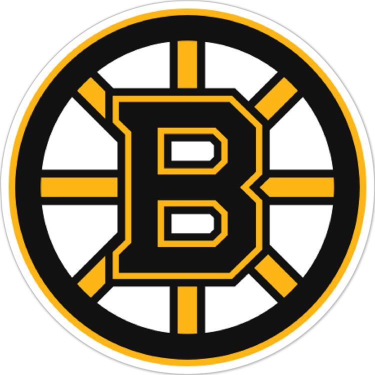 Boston Bruins NHL Logo Sticker