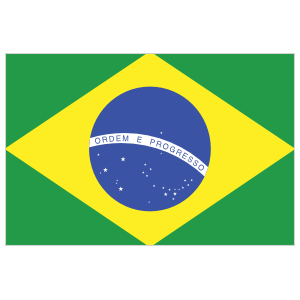 Brazil Flag Magnet