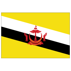 Brunei Country Flag Magnet