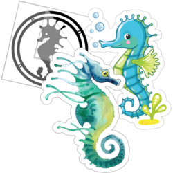 Seahorse Stickers