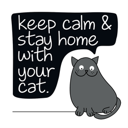 Stay Home With Your Cat Sticker