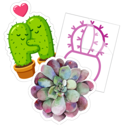 Succulent Cactus Stickers