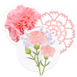 Carnation Flower Stickers
