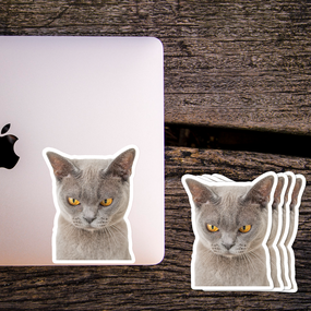 British Shorthair Cat Photo Sticker