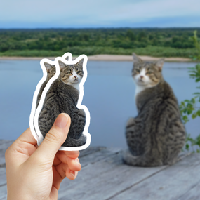 Gray and White Cat Photo Sticker