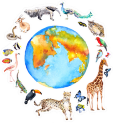 Animals Around The World Sticker