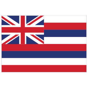 Hawaii Hi State Flag Magnet