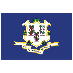 Connecticut Ct State Flag Magnet