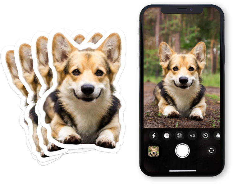 Dog Photo Stickers