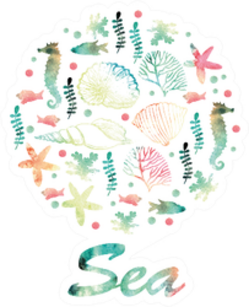 Watercolor Sea Illustration Of Seashells Sticker