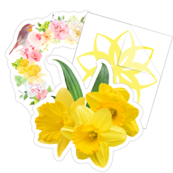 Daffodil Flower Stickers