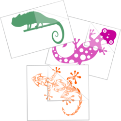 Lizard & Gecko Stickers