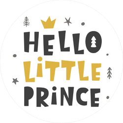 Hello Little Prince Sticker