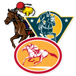 Horse Sports Stickers