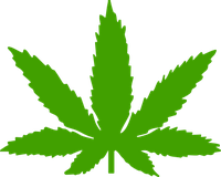 Marijuana & Pot Stickers