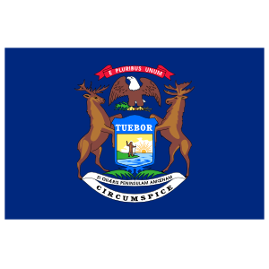 Michigan Mi State Flag Magnet