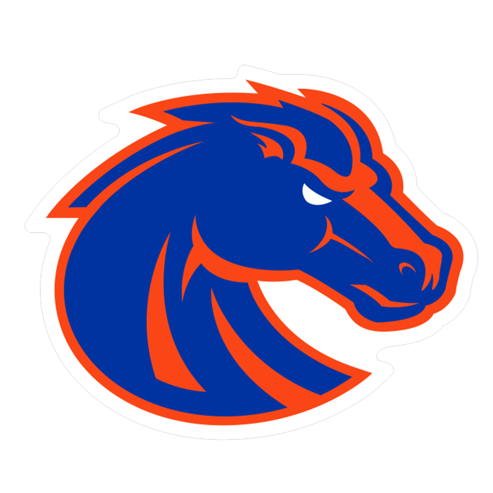 Boise State Broncos NCAA Logo Sticker