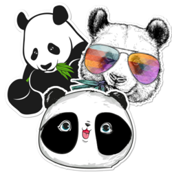 Panda Stickers