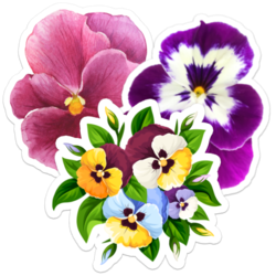 Pansy Flower Stickers