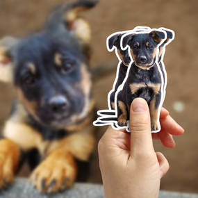 Black and Brown Puppy Sticker