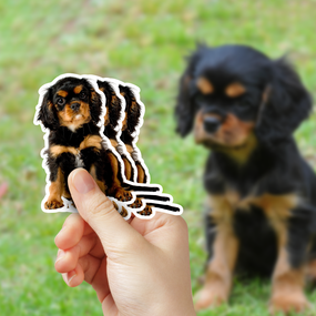 Miniature Long Haired Dachshund Puppy Sticker