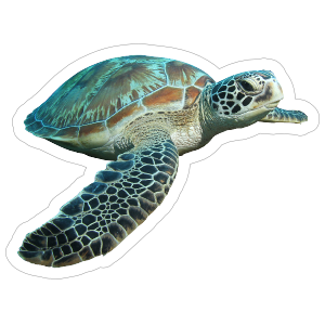Swimming Turtle Sticker